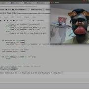 OpenCV Snapchat Face Filters Face Detection Using Haar Cascade Classifiers Python