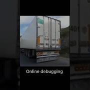 Online Debugging Shorts