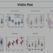 Violin Plot