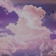 Dolphin Дельфин Clouds Облака Акустика Live