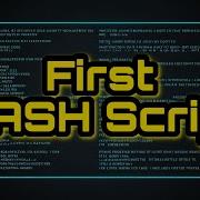 Изучаем Bash скрипт для начинающих Изучите свой первый Bash скрипт