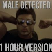 Male Detected 1 Hour