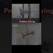 Problem Solving Skills Python Developer Coder Java Php Cod Programming Problemsolving