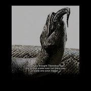 Titanoboa Wasn T The Longest Snake Prehistoric Titanoboa Snake Vasukiindicus Dinosaur Animals
