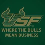 USF MUMA College Of Business University Of South Florida