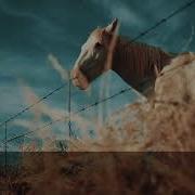 SECOND NATURE By RUSH