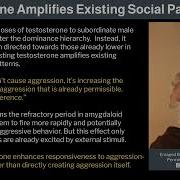 25 Violence And Its Antidotes 3 By Robert Sapolsky