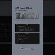Css Hover Effect On Image Gallery Shorts Explore Coding