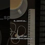 Ziynet Sali Çeyrek Gönül Speed Up