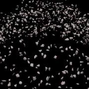 Intro To Programming Particle Explosion