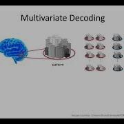 FMRI Course 2017 Multivariate Pattern Analysis And Brain Decoding By Martin Hebart