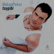 Taşgibi V2