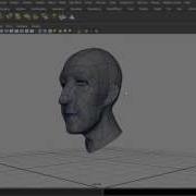 Modeling Basic Head
