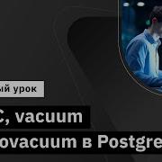 MVCC Vacuum и Autovacuum в PostgreSQL Демо занятие курса Базы данных