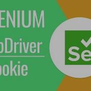 Что такое Selenium WebDriver Работа с Cookie в Selenium WebDriver