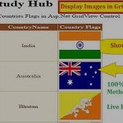 Display Images In GridView From Database In Asp Net C English Online Learning Classes