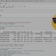 How To Turn NaN And Floats Into Integers By Using Pandas Dataframe Df