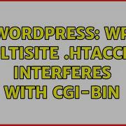 Wordpress WP Multisite Htaccess Interferes With Cgi Bin