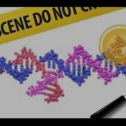 Labster Virtual Lab CSI Simulation