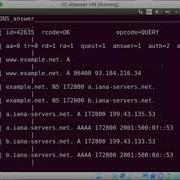 Local DNS Attack Lab