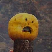 Exploding Pumpkins And Fail