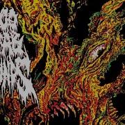 Maggot Casket 200 Stab Wounds Lyrics Piles Of Festering Decomposition 2020 Maggot Stomp