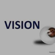 The Visual System