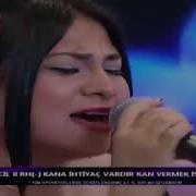 Sevil Katran