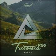 Patience Tritonia 428