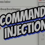 Ethical Hacking Command Injection Website Vulnerability Assessment