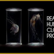 What Is Human Cloning What S The Process For Human Cloning AH Documentary