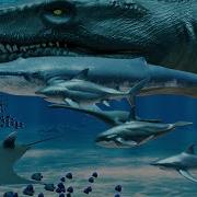 Sea Creatures Size Comparison 3d Animation Comparison Real Scale Comparison