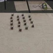 Boids Algorithm Wind Experiment Robotarium
