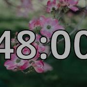 48 Minutes Timer With Music Spring Timer