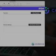 Stripe And Claris Filemaker Integration