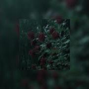 Doja Cat Trauma Tiktok Version Speed Up