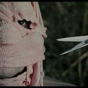 Timecrimes 2007 Trailer