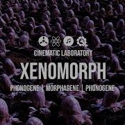 Xenomorph Phonogene Morphagene Phonogene