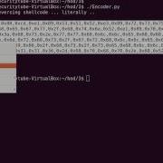 SecurityTube Net Hack Of The Day Part 3 Writing Shellcode Encoder Decoder