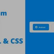 Create Custom Animated Radio Input Using HTML CSS