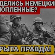 Куда После Войны Делись Немецкие Военнопленные Раскрыли Правду