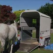 101 HorseGym With Boots USING MATS FOR TRAILER LOADING
