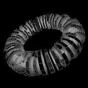 Rings Torus Draw By OpenFrameworks