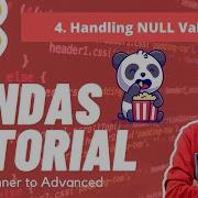 Part 4 Handling The Null Values Pandas Complete Tutorial Missing Values