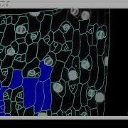 Tutorial Video S4 Cell Classification With SVM