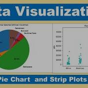 Data Visualization By Python Pie Chart And Strip Plots