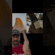 Devils Tower Or Horn