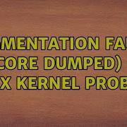 Segmentation Fault Core Dumped Linux Kernel Problem
