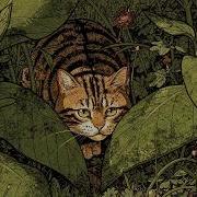 The Feline Frequency For Absolute Concentration Deep Dark Minimal Techno Mix