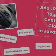 How To Add Remove Toggle Contains Has Class Class In JavaScript Hunnycode